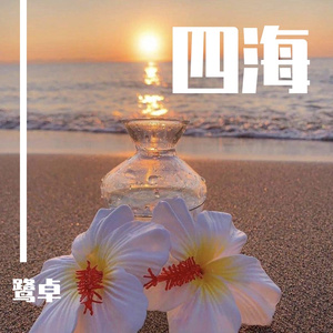 黑人的尺寸能到肚子
