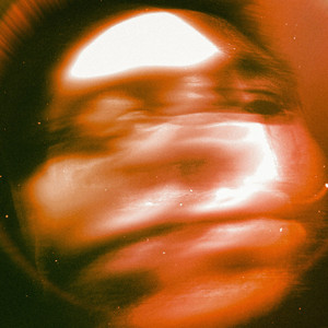 黑人的尺寸能到肚子
